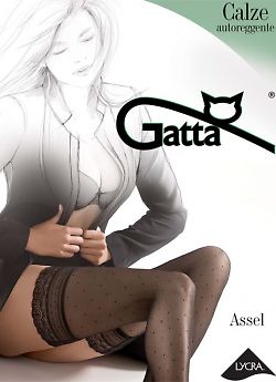 Gatta Assel 01