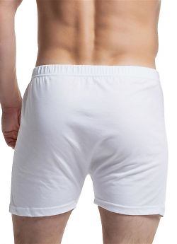 X-File Romeo Shorts