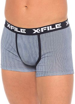 X-File Dario Boxer