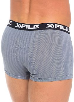 X-File Dario Boxer