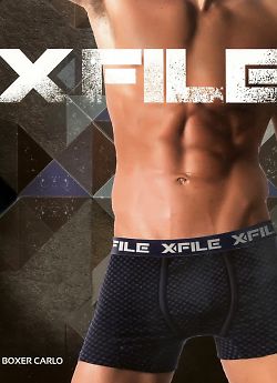 X-File Boxer Carlo