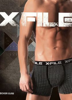 X-File Boxer Guss