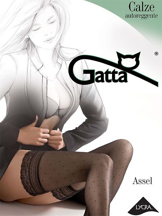 Gatta Assel 01