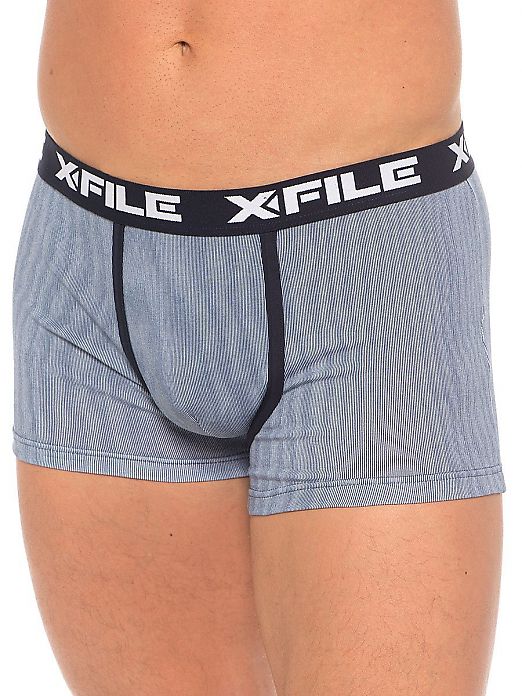 X-File Dario Boxer