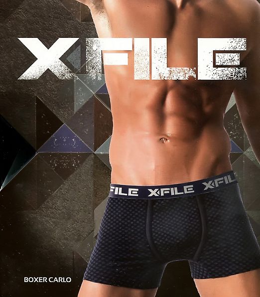 X-File Boxer Carlo