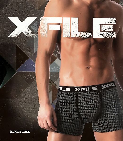 X-File Boxer Guss