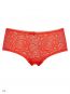 Innamore Tulipano BD 35327