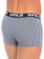 X-File Dario Boxer