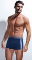 Enrico Coveri EB 1668 BOXER
